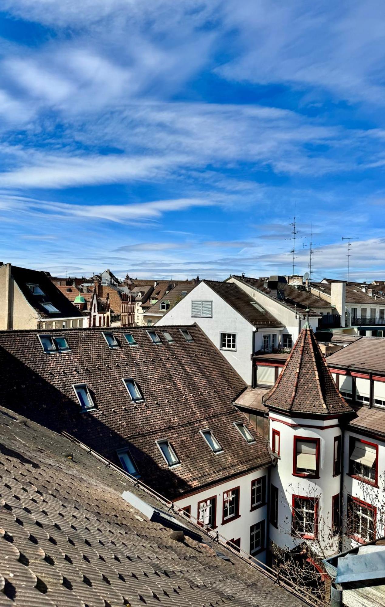 City Center Rooftop Balcony-Studio At Town Hall Basel Exterior foto